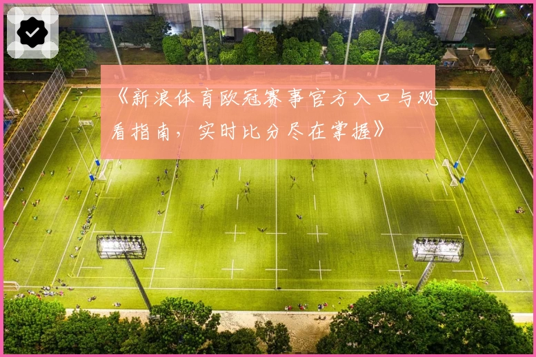 《新浪体育欧冠赛事官方入口与观看指南,实时比分尽在掌握》