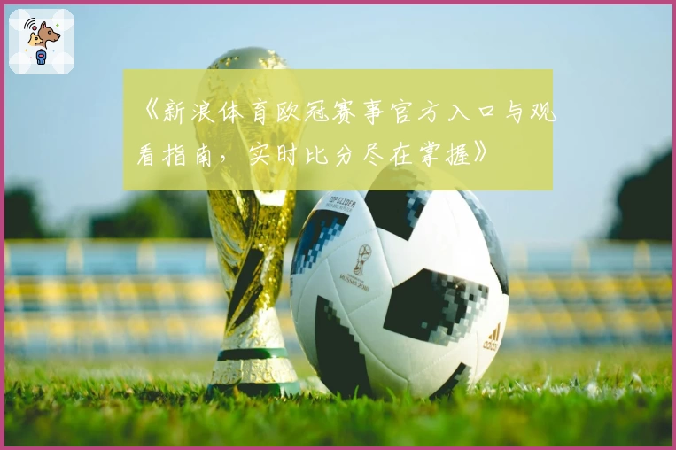 《新浪体育欧冠赛事官方入口与观看指南，实时比分尽在掌握》
