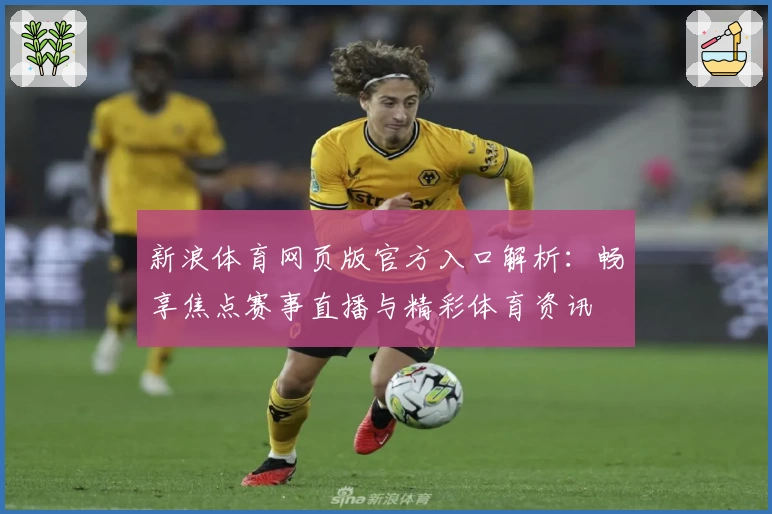 新浪体育网页版官方入口解析：畅享焦点赛事直播与精彩体育资讯