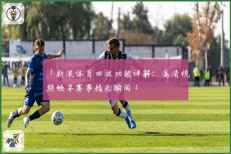 「新浪体育回放功能详解：高清视频畅享赛事精彩瞬间」