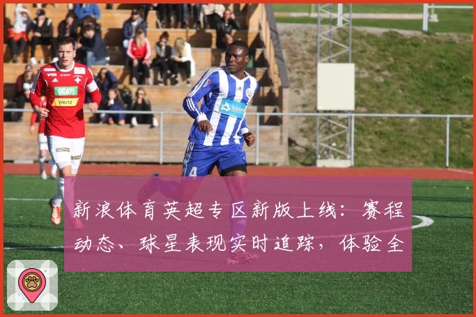 新浪体育英超专区新版上线：赛程动态、球星表现实时追踪，体验全新观看模式