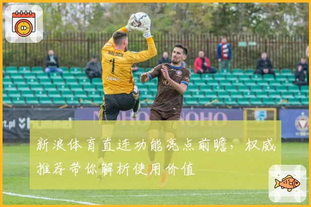 新浪体育直连功能亮点前瞻，权威推荐带你解析使用价值