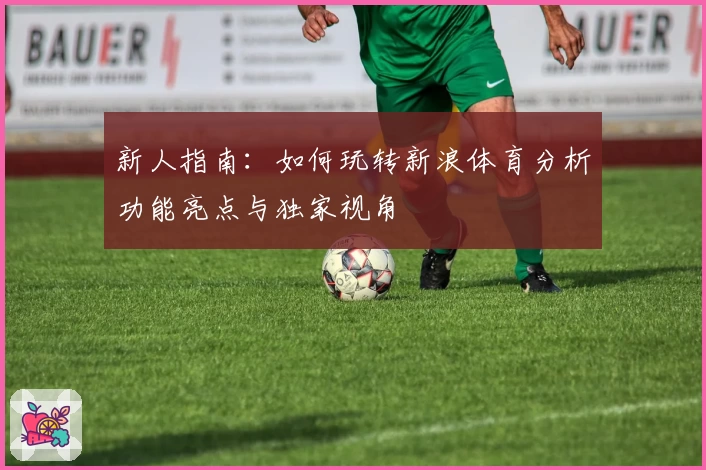 新人指南：如何玩转新浪体育分析功能亮点与独家视角