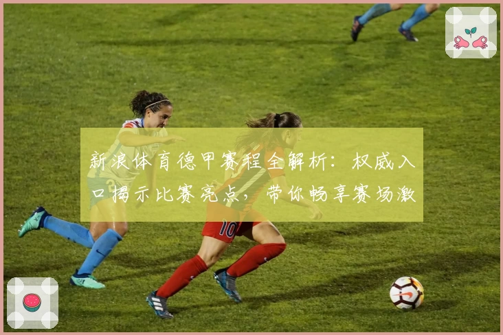 新浪体育德甲赛程全解析：权威入口揭示比赛亮点，带你畅享赛场激情