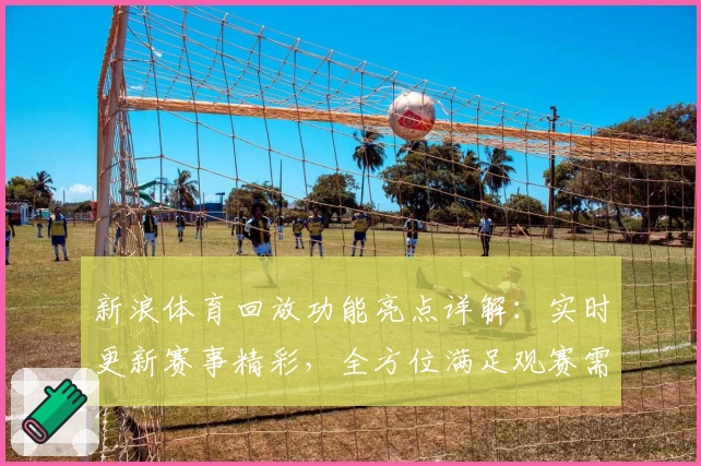 新浪体育回放功能亮点详解：实时更新赛事精彩，全方位满足观赛需求